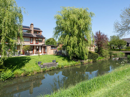 Roerdomp 1