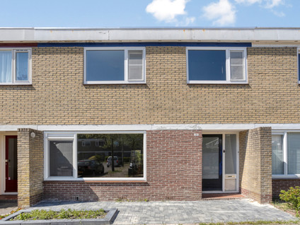 De Bird 111