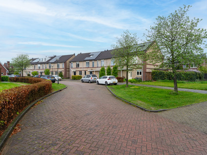 Vlinderslag 28