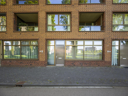 Glenn Millerpad 37