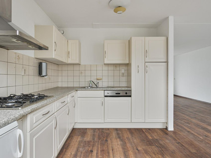 Steenkamplaan 43