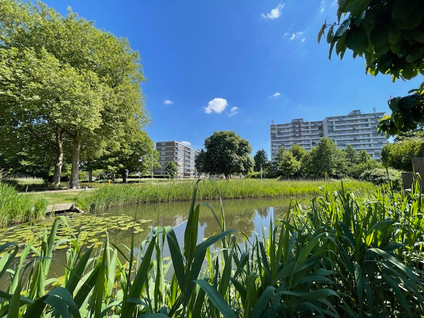 Beltmolen 27