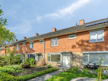 De Singel 20