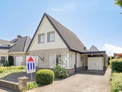 Koningszuur 2