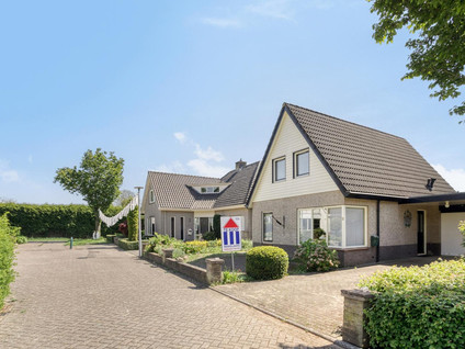 Koningszuur 2