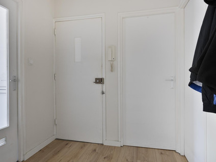 Socratesstraat 229