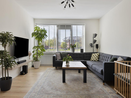 Socratesstraat 229