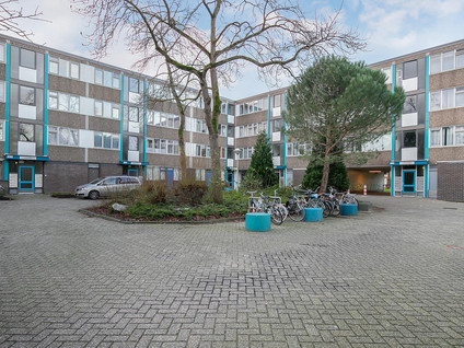 Grootzeil 135