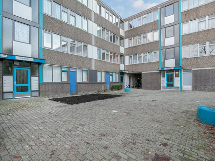Grootzeil 135