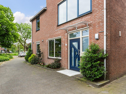 Goudplevier 69