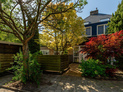Beukvaren 3