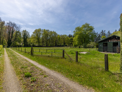 Wieselseweg 29