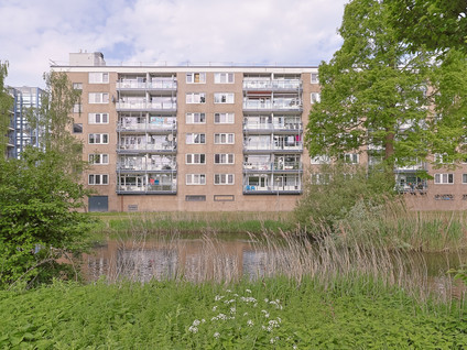 Argostraat 212