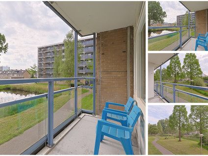 Argostraat 212