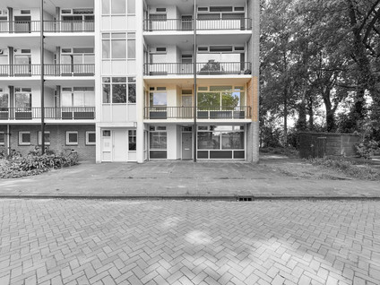 De Reiger 175