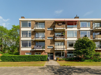 Ellemare 71