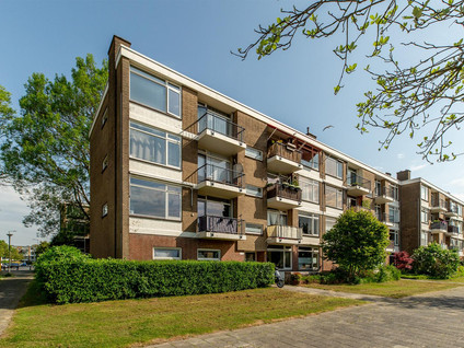 Ellemare 71