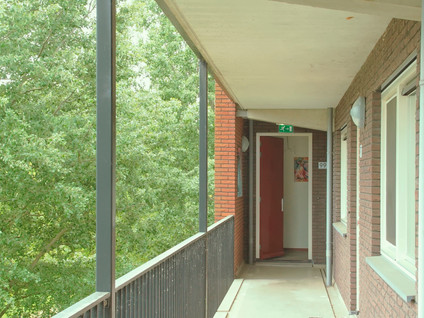Bergermeerstraat 99