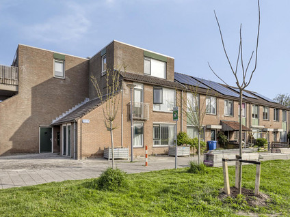 Dieze 22
