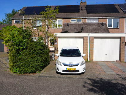 Boterbloem 10