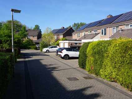 Boterbloem 10