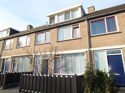Geelkruid 53