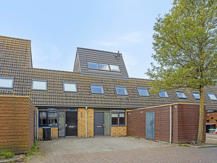 Windhalm 25