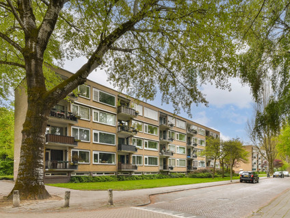 Pruimenlaan 60
