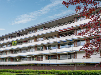 Van Borselenstraat 146