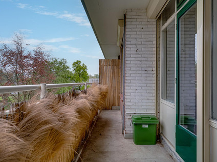 Van Borselenstraat 146