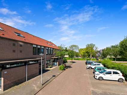 Kaasjeskruid 37