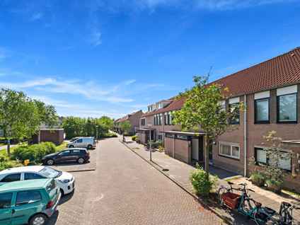 Kaasjeskruid 37