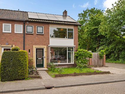 Boterbloem 23