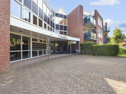 Goudreinet 63