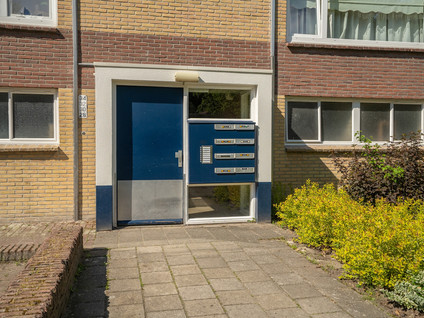 Dommelstraat 32
