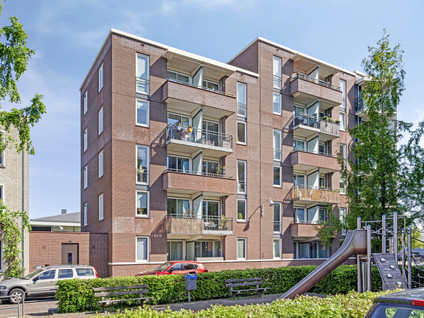 Zilverstein 107