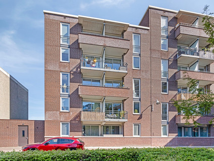 Zilverstein 107