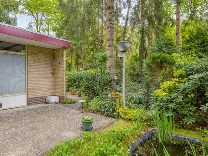 Coevorderweg 17 41