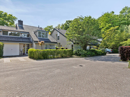 Van Eijsingapark 6