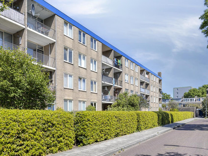 Bernstraat 50