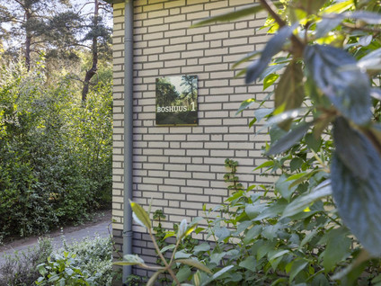Halseweg 54 46