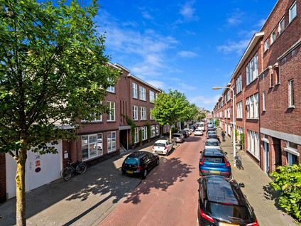 Rhododendronstraat 147