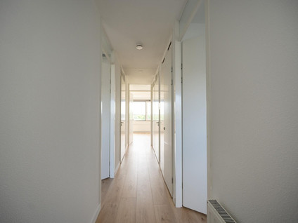 El Grecostraat 251
