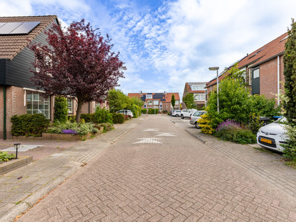 Baardmosstraat 112