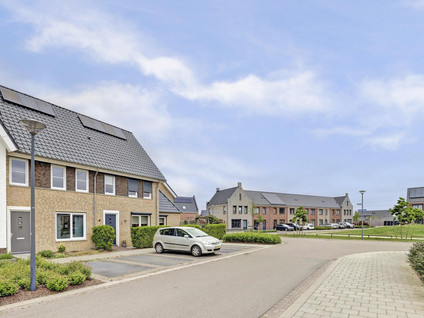 Duinbeek 3