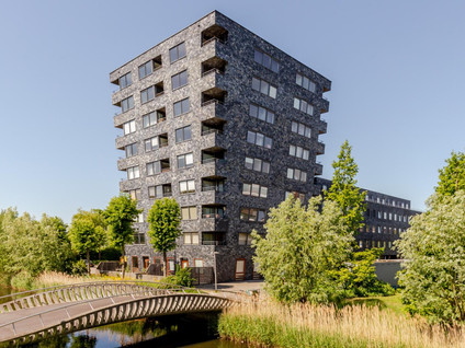 Rottumeroog 48