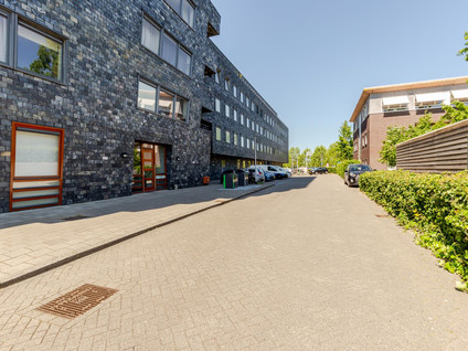 Rottumeroog 48