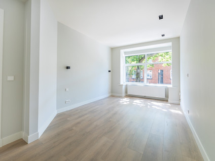 Linnaeusstraat 245