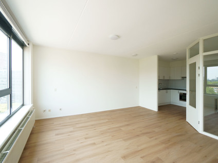 Zuidplein 562