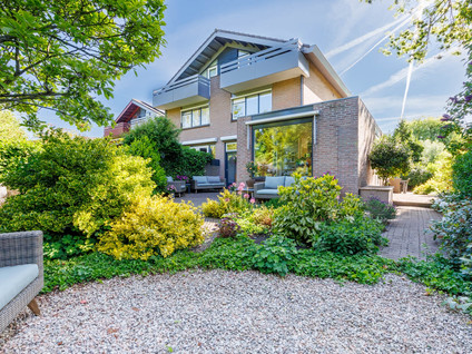 Zonnebloem 2